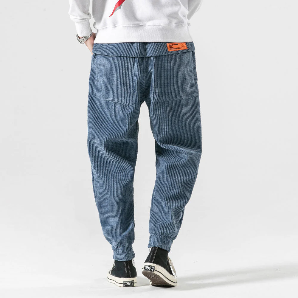 Theodore® | Fashionable Corduro Pants - Image 2